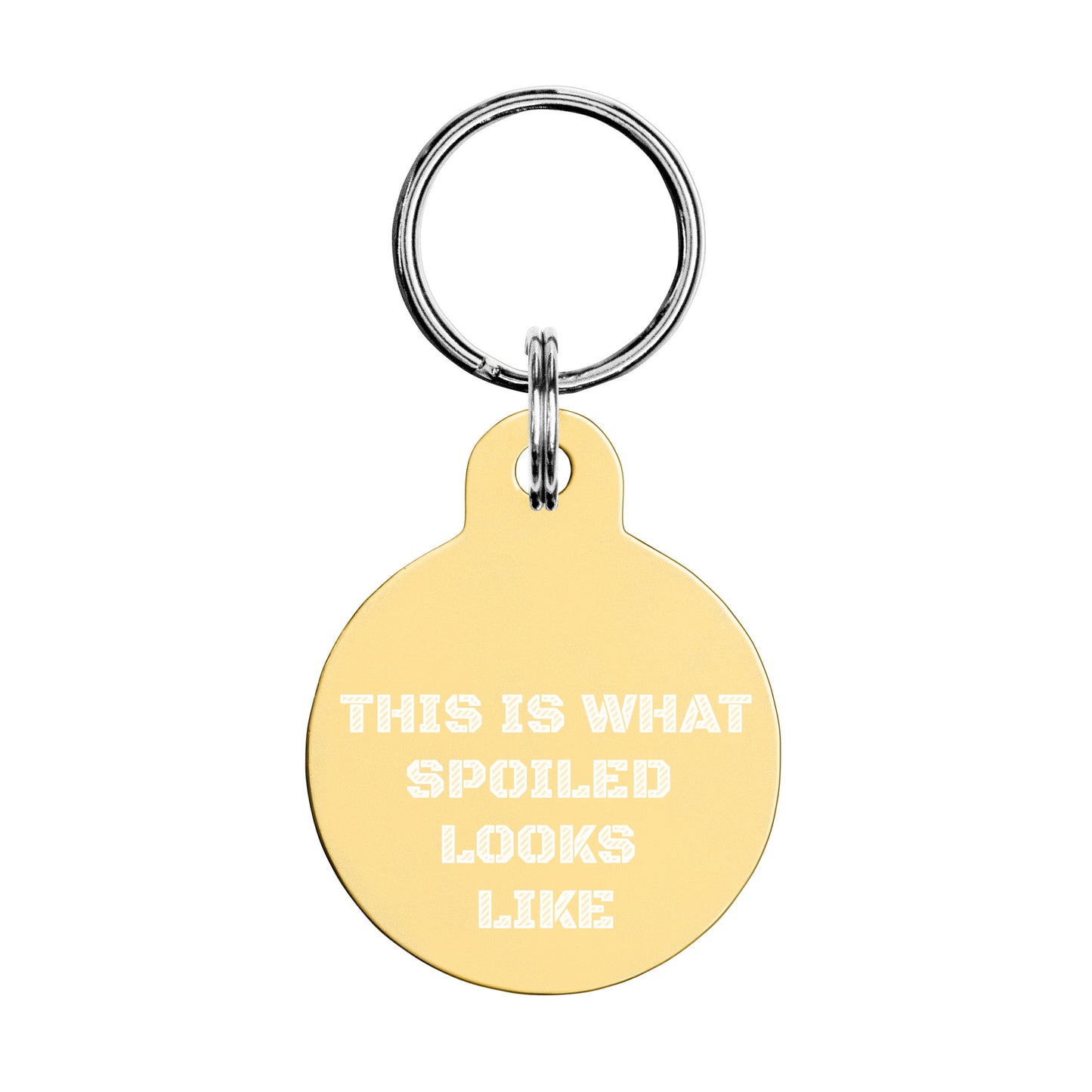 SPOILED DOG BOUTIQUE- THIS IS WHAT SPOILED LOOKS LIKE-Engraved pet ID tag or key chain
