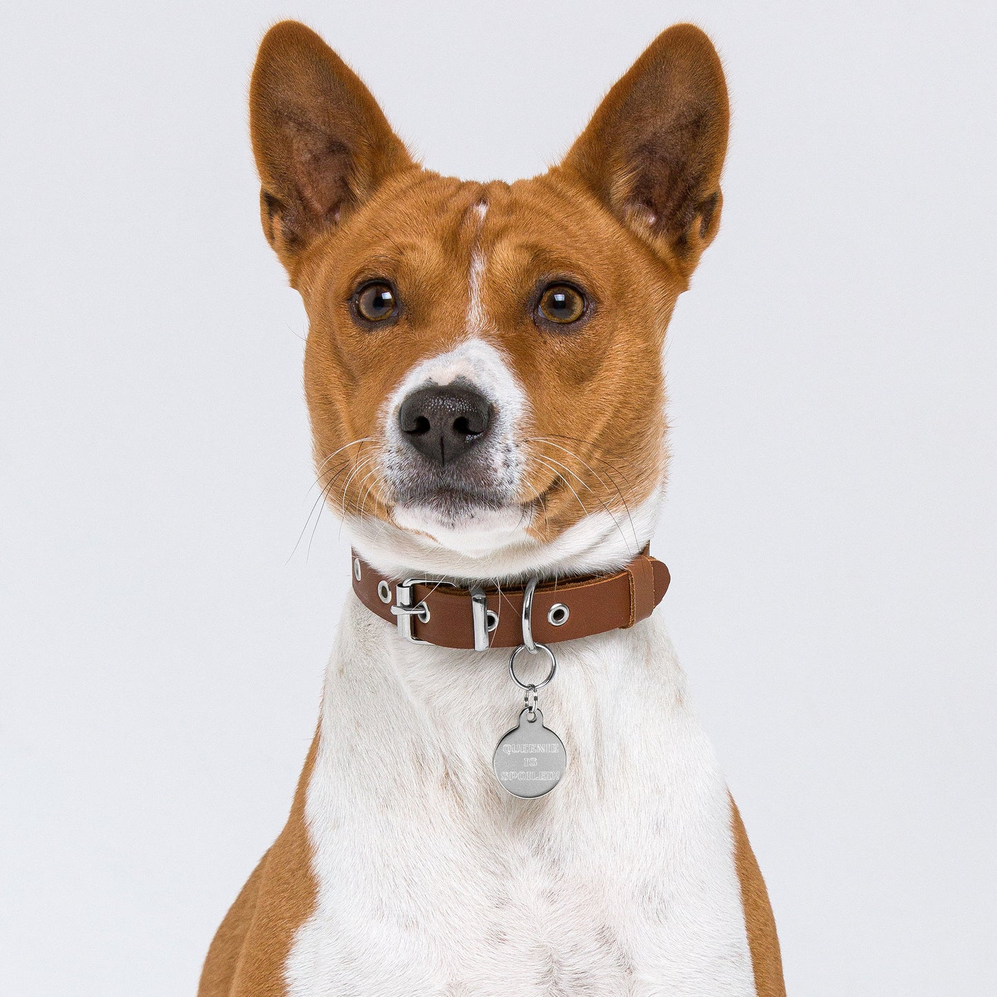 SPOILED CAT BOUTIQUE- QUEENIE IS SPOILED! Engraved pet ID tag