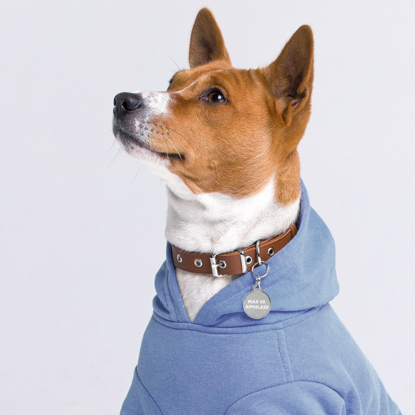 SPOILED DOG BOUTIQUE-----MAX IS SPOILED! Engraved pet ID tag