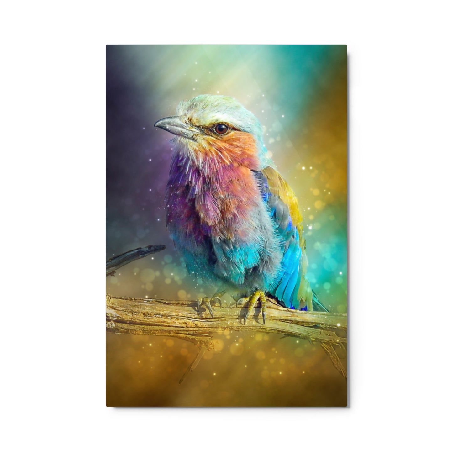 BIRD COLUR BURST ART Metal prints
