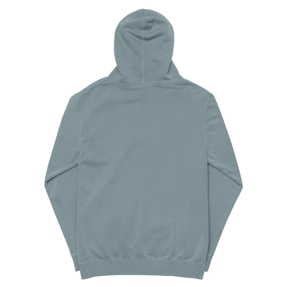 ICON OF HEALTH- ICE GREY COLOUR- Unisex pigment dyed hoodie