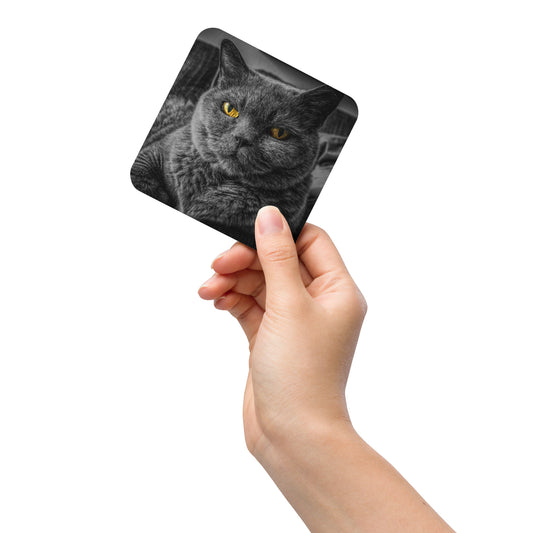 BLACK CAT --Cork-back coaster